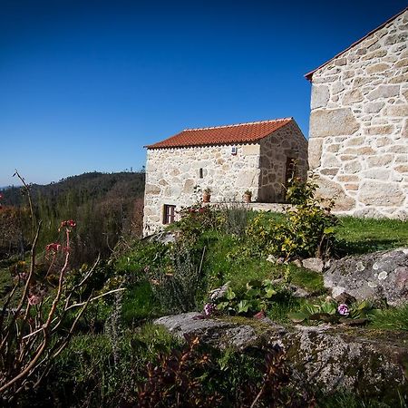Casas Dos Avos Pension Vale de Cambra Kamer foto