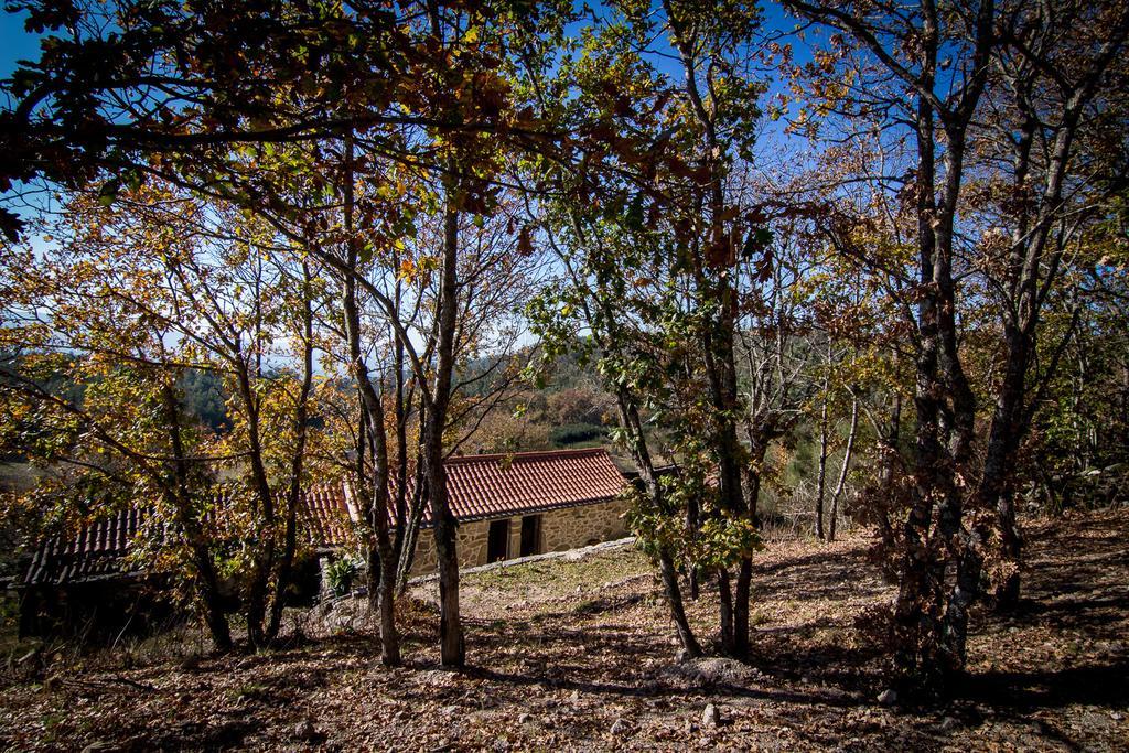 Casas Dos Avos Pension Vale de Cambra Kamer foto