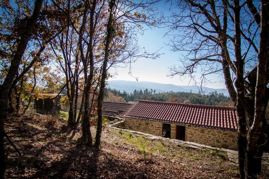 Casas Dos Avos Pension Vale de Cambra Kamer foto