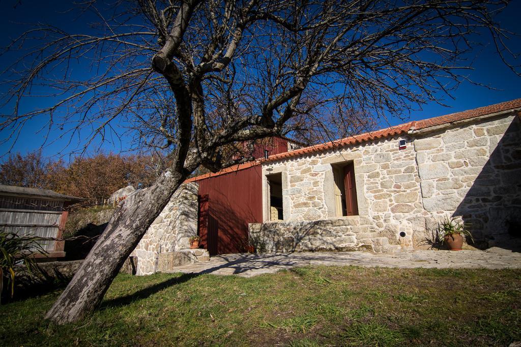 Casas Dos Avos Pension Vale de Cambra Kamer foto